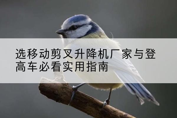泌阳电动升降机厂家-选移动剪叉升降机厂家与登高车必看实用指南