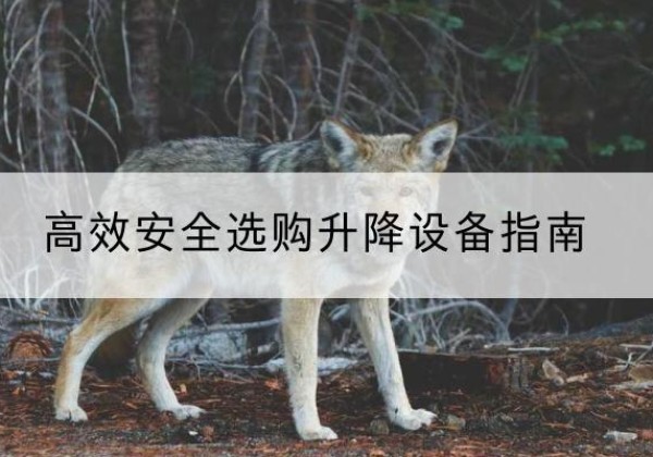 泌阳升降货梯厂家推荐-*安全选购升降设备指南