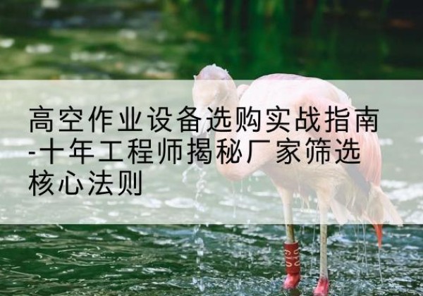 泌阳剪叉式升降机厂家-高空作业设备选购实战指南-十年工程师揭秘厂家筛选核心法则
