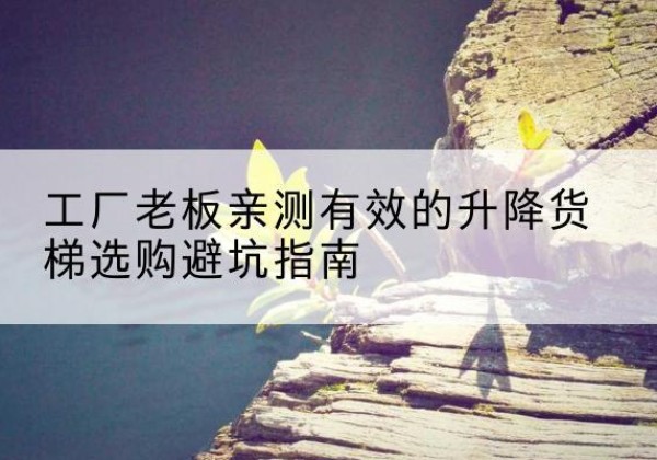 泌阳升降货梯怎么选-工厂老板亲测有效的升降货梯选购避坑指南